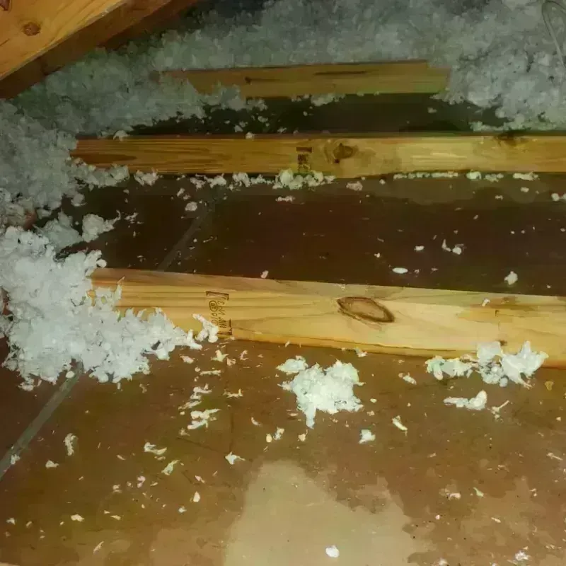 Attic Water Damage in Fenton, MI