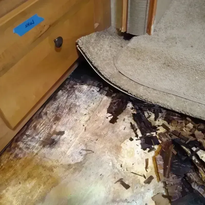 Wood Floor Water Damage in Fenton, MI